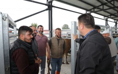 Akyazı Belediyesi Canlı Hayvan Borsası’na yoğun ilgi