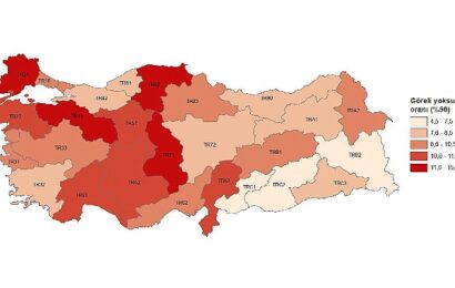 2024 Yılı Gelir ve Yaşam Koşulları Araştırması Sonuçları