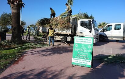 Aydın Büyükşehir Belediyesi’nden Kuşadası’na Yatırımlar ve Budama Çalışmaları