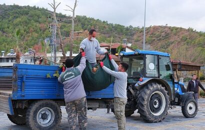 Kemer Belediyesi’nden Bahçe Atıkları Toplama Projesi