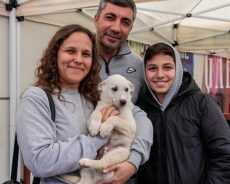 Konak Belediyesi’nden Patili Dostlar İçin Anlamlı Etkinlik