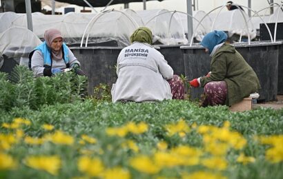 Manisa Büyükşehir Belediyesi Su Tasarrufu Uygulamaları