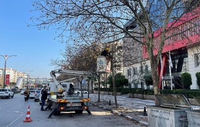 Manisa’da Ağaç Budama Çalışmaları Devam Ediyor