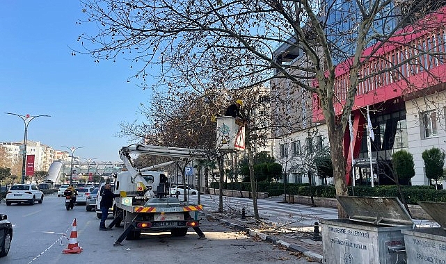 Manisa’da Ağaç Budama Çalışmaları Devam Ediyor