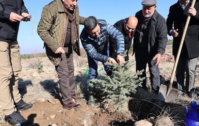 Nevşehir Belediyesi’nden Hatıra Ormanı Projesi