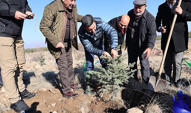 Nevşehir Belediyesi’nden Hatıra Ormanı Projesi