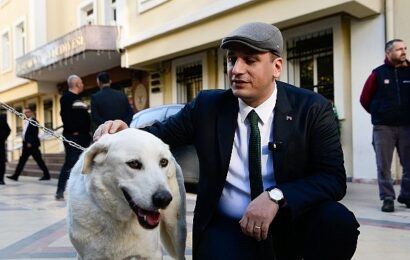 Sokak Hayvanları Yönetmeliği Tartışmaları ve Başkan Eşki’nin Paşa’yı Sahiplenmesi