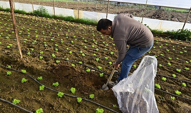 TKİ-Hümas Projesi ile Organik Tarımda Verimlilik Artışı