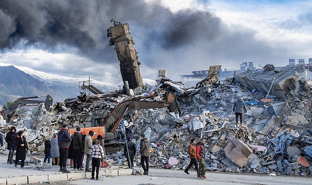 2024 Yılı: Ekokırım ve Doğa Koruma Mücadelesi