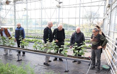 Antalya Büyükşehir Belediyesi’nden Alzheimer Hastalarına Destek: Mavi Ev