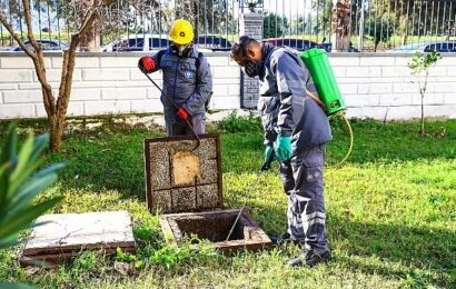 Antalya Büyükşehir Belediyesi’nin Vektörlerle Mücadele Çalışmaları