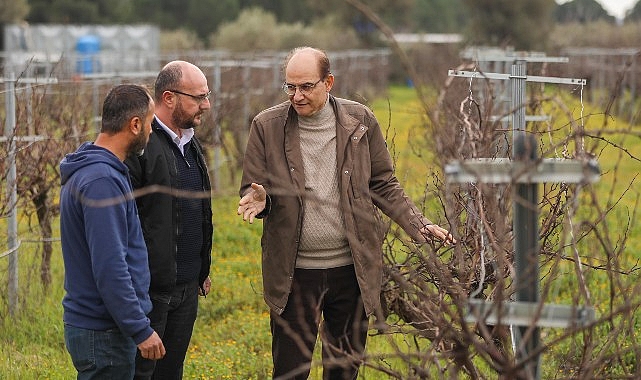 Buca Belediyesi’nden Razakı Üzümüne Coğrafi İşaret Tescili Çalışmaları