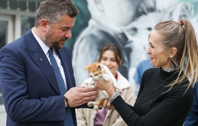 Buca’da Yavru Sokak Kedisi ‘Mucize’ Hayata Döndü