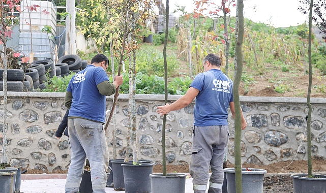 Canik’te Sıfır Atık Projeleri ile 33 Bin Ağaç Kurtarıldı