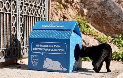 Çeşme Belediyesi’nden Sokak Hayvanlarına Destek Projesi