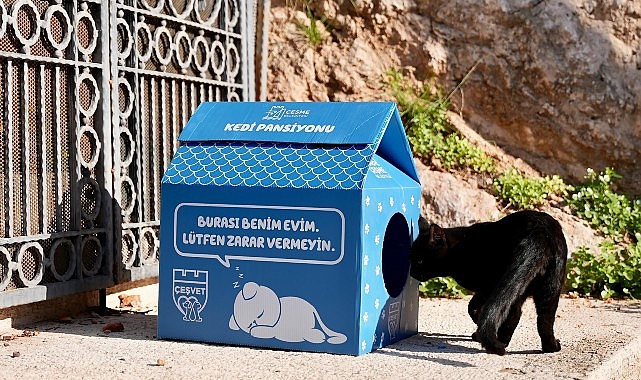 Çeşme Belediyesi’nden Sokak Hayvanlarına Destek Projesi