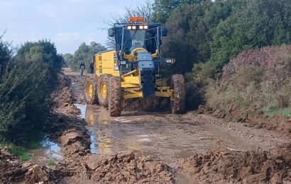 Didim Belediyesi Üreticiye Destek Projeleri