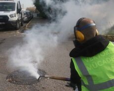 Kocaeli Büyükşehir Belediyesi’nden Sivrisinek ve Karasinek Mücadelesi