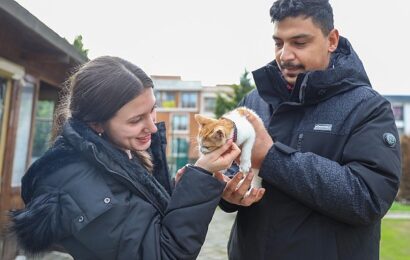 Mucize Kedi, Sıcak Yuvaya Kavuştu