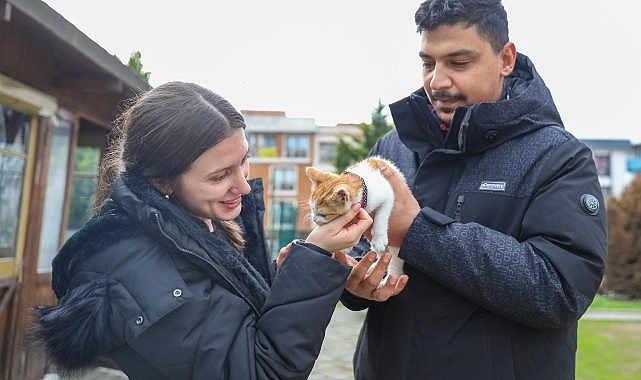 Mucize Kedi, Sıcak Yuvaya Kavuştu