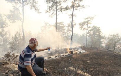 Muğla Büyükşehir Belediyesi’nden ‘Her Kapıda Bir Fidan’ Projesi Başlıyor