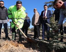 Nevşehir Belediyesi’nden Fidan Dikimi Etkinliği