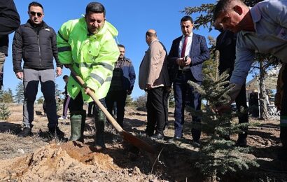 Nevşehir Belediyesi’nden Fidan Dikimi Etkinliği