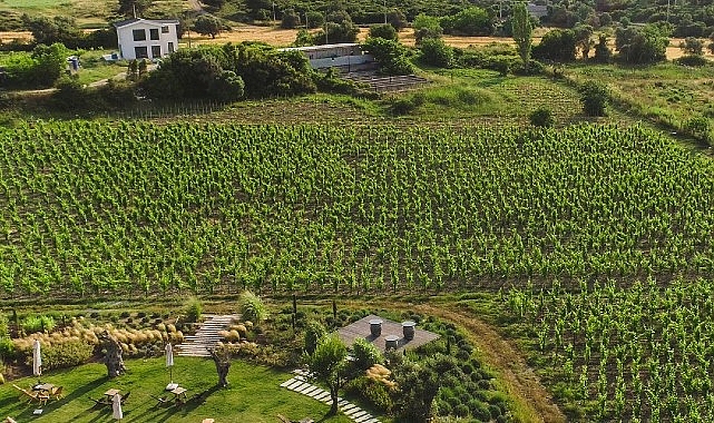 Urla Bağ Yolu, 2025 Yeşil Destinasyonlar Halkın Seçimi Ödülü’nde Finale Kaldı