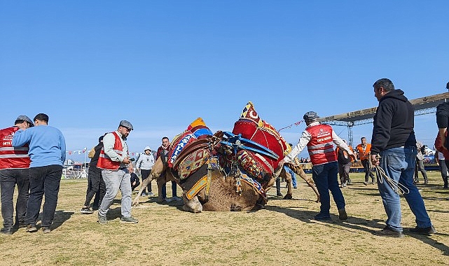 16. Deve Güreşi Festivali Torbalı’da Coşkuyla Gerçekleşti