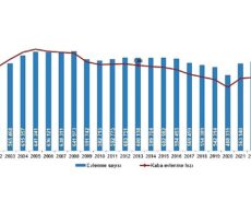 2024 Yılı Boşanma İstatistikleri ve Evlilik Verileri