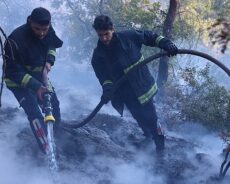 Antalya’da Orman Yangınına Hızlı Müdahale