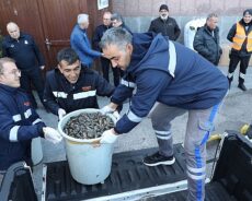 Antalya’da Zabıta Ekiplerinden Midye Denetimi