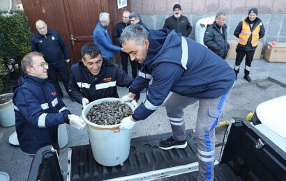 Antalya’da Zabıta Ekiplerinden Midye Denetimi