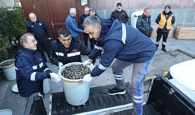 Antalya’da Zabıta Ekiplerinden Midye Denetimi