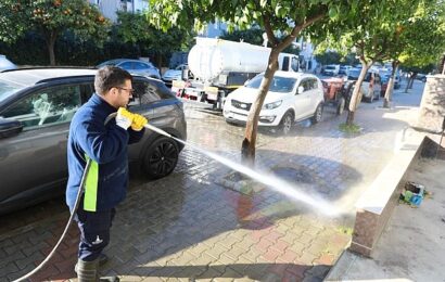 Efes Selçuk’ta Kapsamlı Temizlik Seferberliği