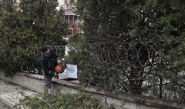 İnegöl Belediyesi’nden Ağaç Budama Çalışmaları