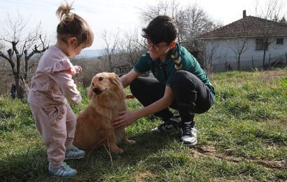 Kocaeli’de Patilik Mutlu Sokak Hayvanları Kasabası’ndan Yeni Bir Can Dost: Alex