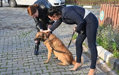 Manisa Büyükşehir Belediyesi’nden Hayvanlara Şefkat Eli