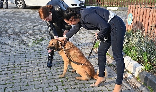 Manisa Büyükşehir Belediyesi’nden Hayvanlara Şefkat Eli