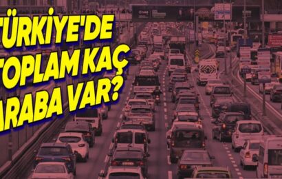 Motorlu Kara Taşıtları Ocak 2025 Raporu