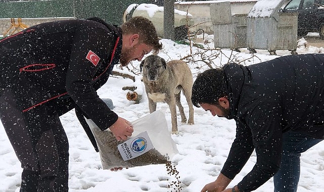 Mudanya Belediyesi Kış Çalışmaları ve Sokak Hayvanlarına Destek