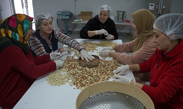 Türkiye’nin Spor ve Eğlence Platformu Digiturk’ten ‘Yeniden’ Belgeseli