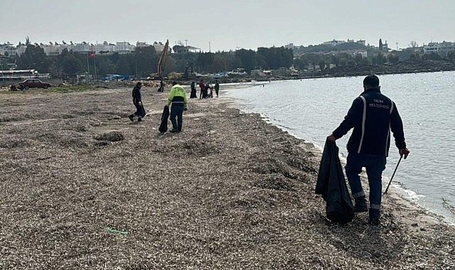 Didim Belediyesi’nden Mavişehir Sahilinde Temizlik Çalışması