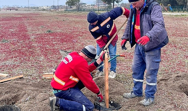 Menderes Belediyesi’nden Kum Zambağı Koruma Projesi